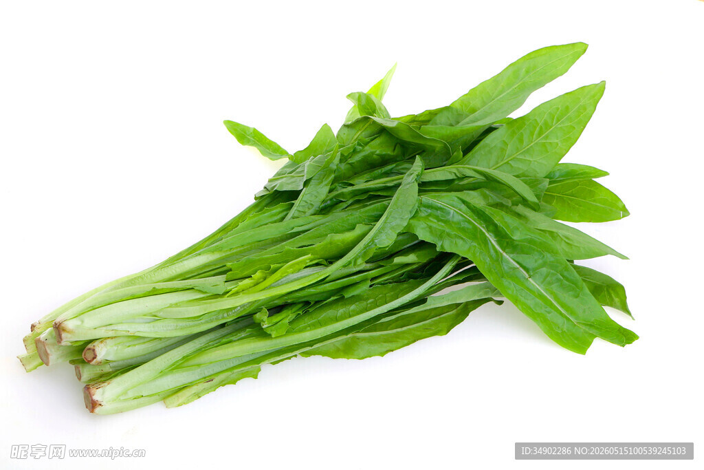 新鲜嫩绿菠菜一束