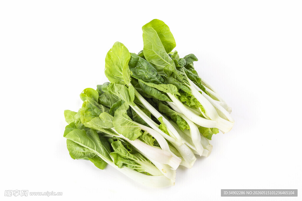 新鲜小白菜