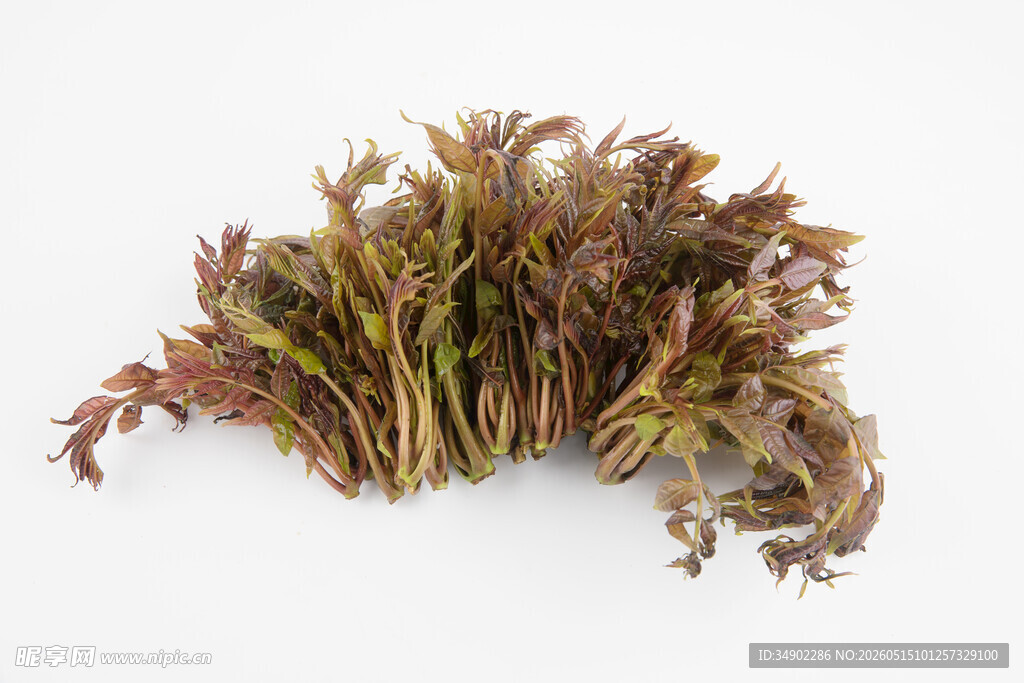 新鲜香椿芽