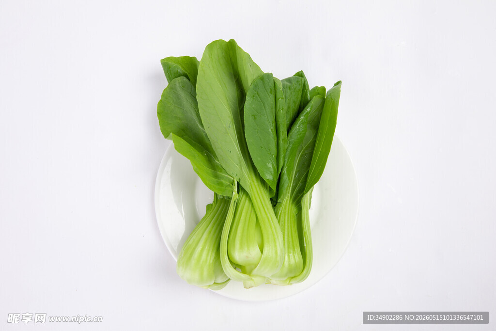 新鲜小白菜