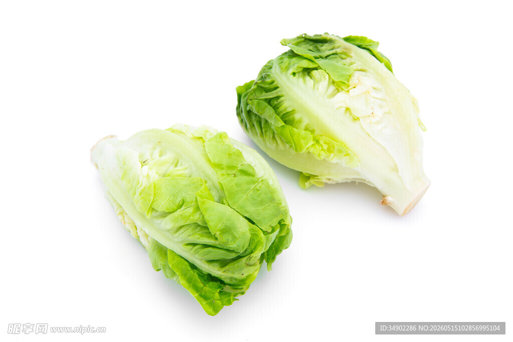 新鲜生菜