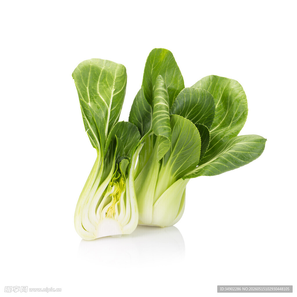 新鲜小白菜