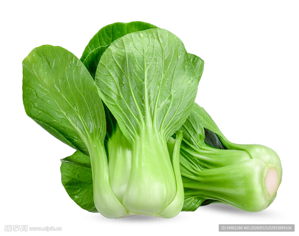 新鲜青菜