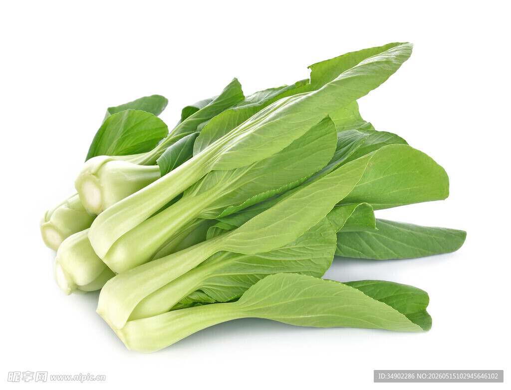 新鲜小白菜