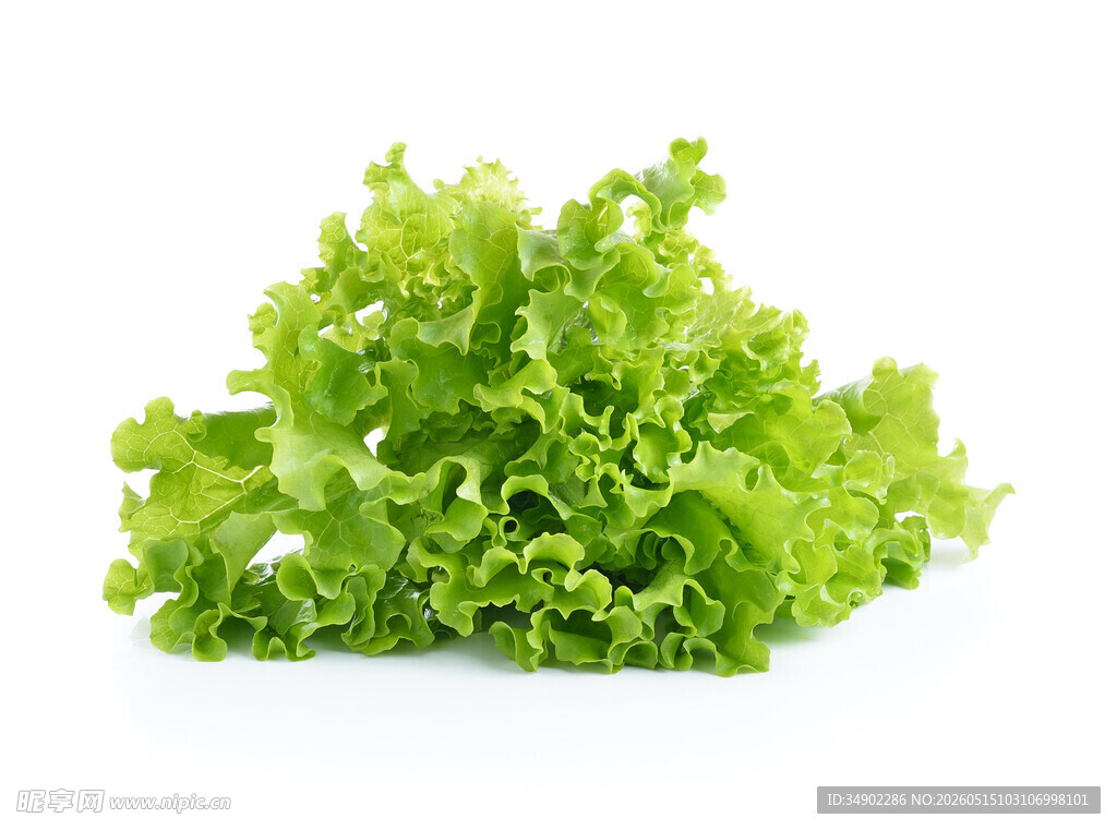 新鲜生菜