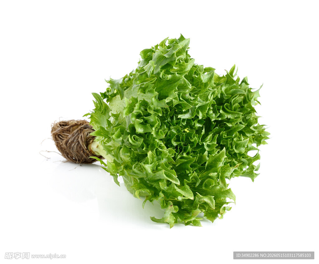 新鲜生菜