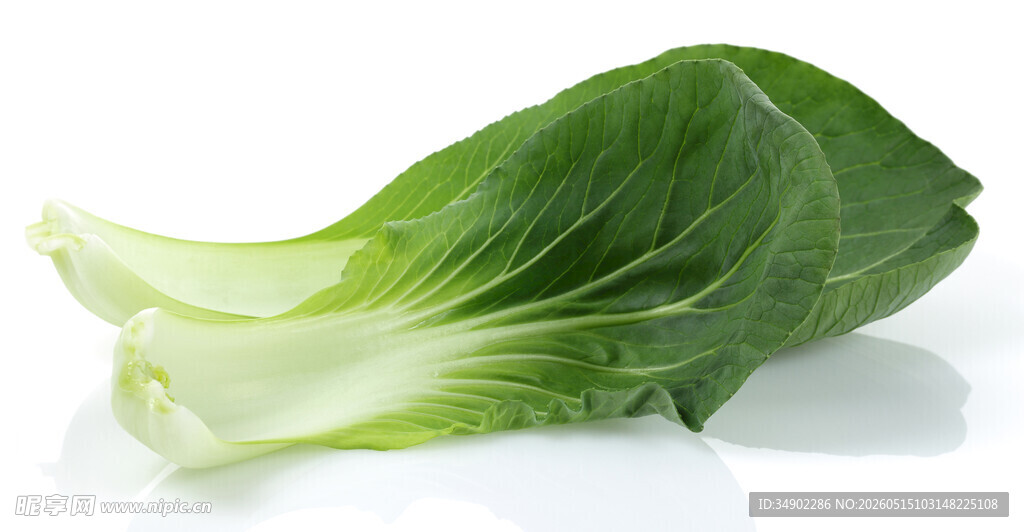 新鲜小白菜