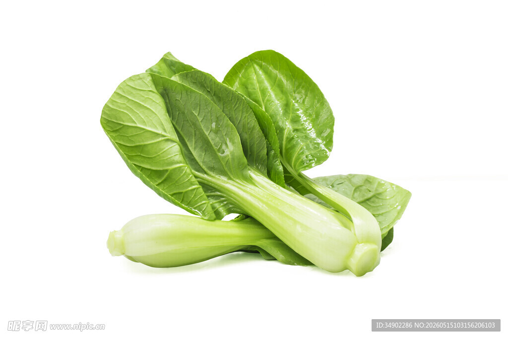 新鲜小白菜