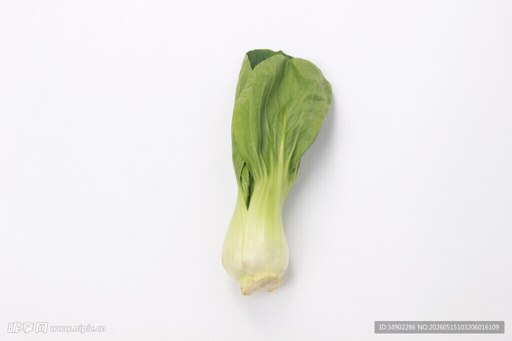 一颗鲜嫩的小白菜