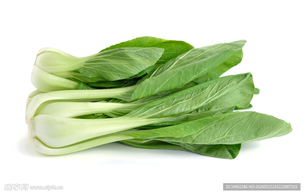 新鲜小白菜