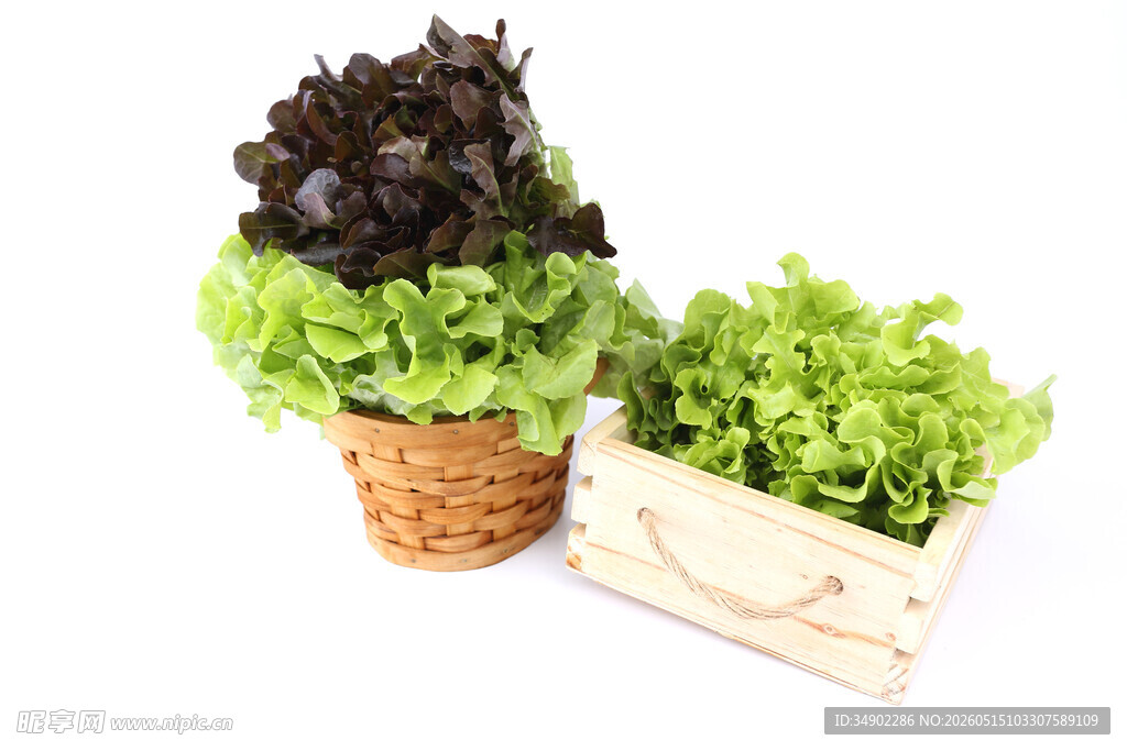 新鲜盆栽蔬菜