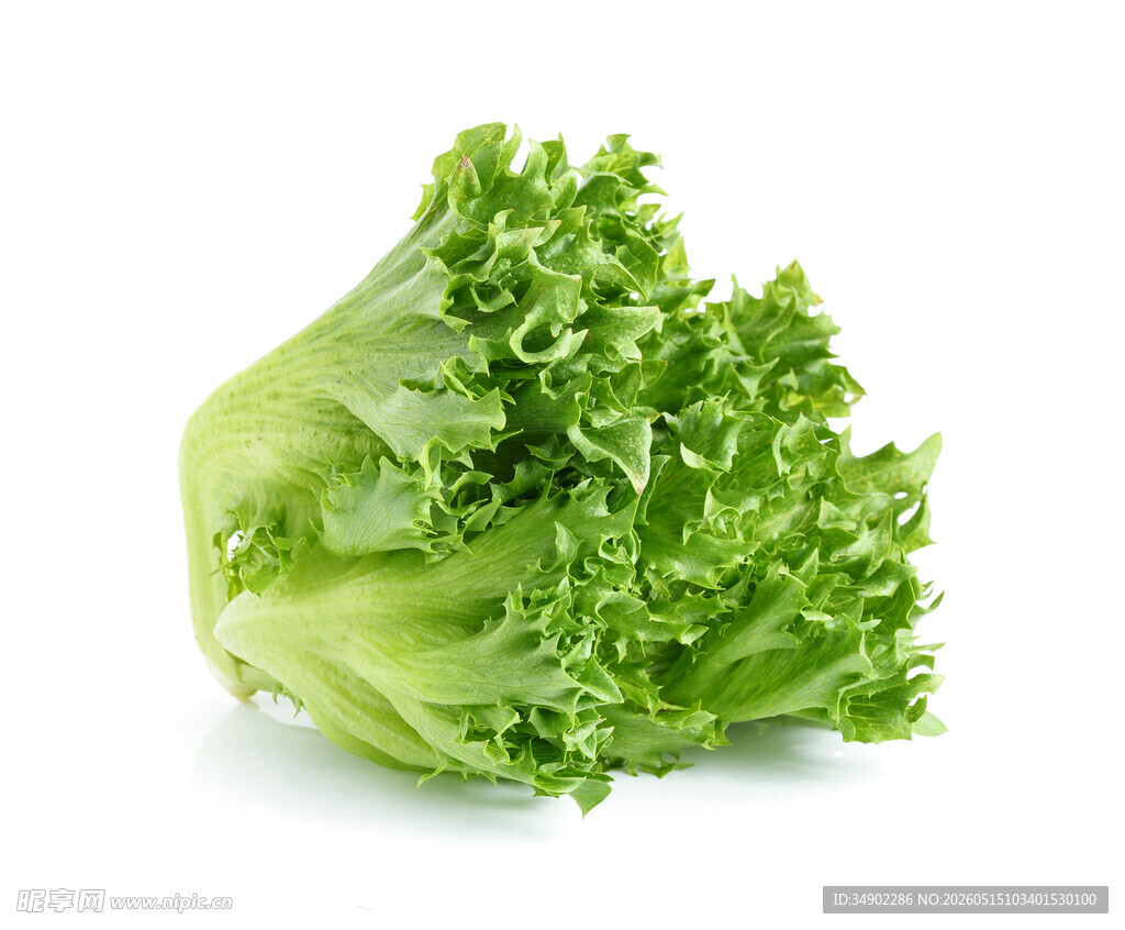 新鲜生菜