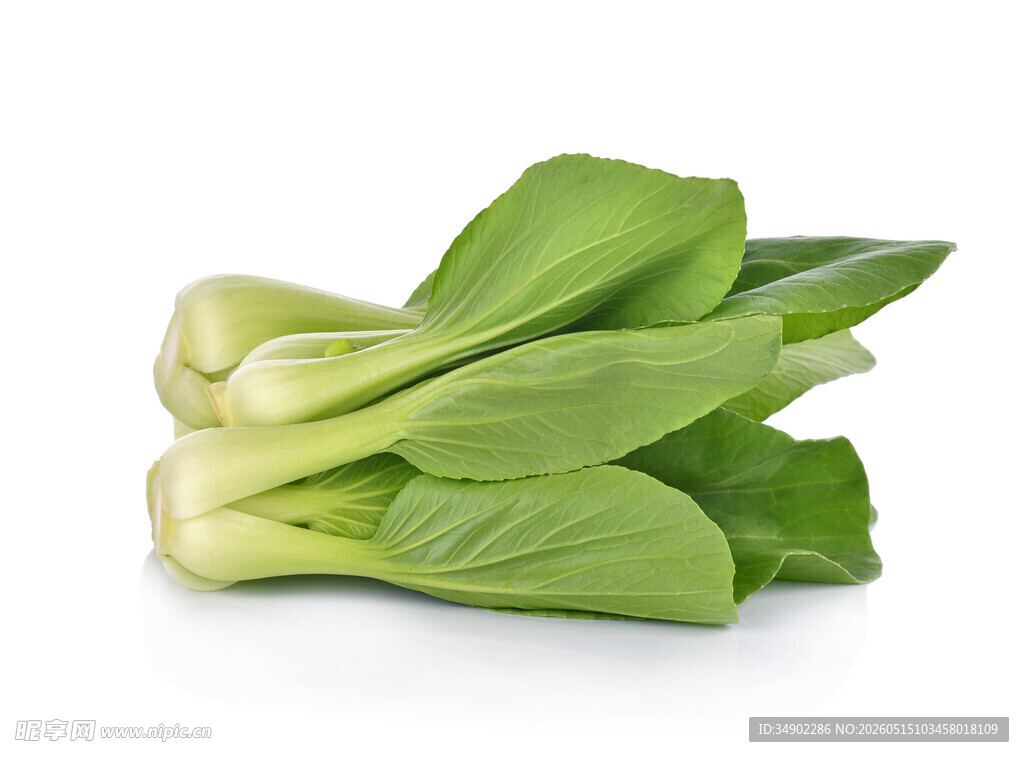 新鲜小白菜