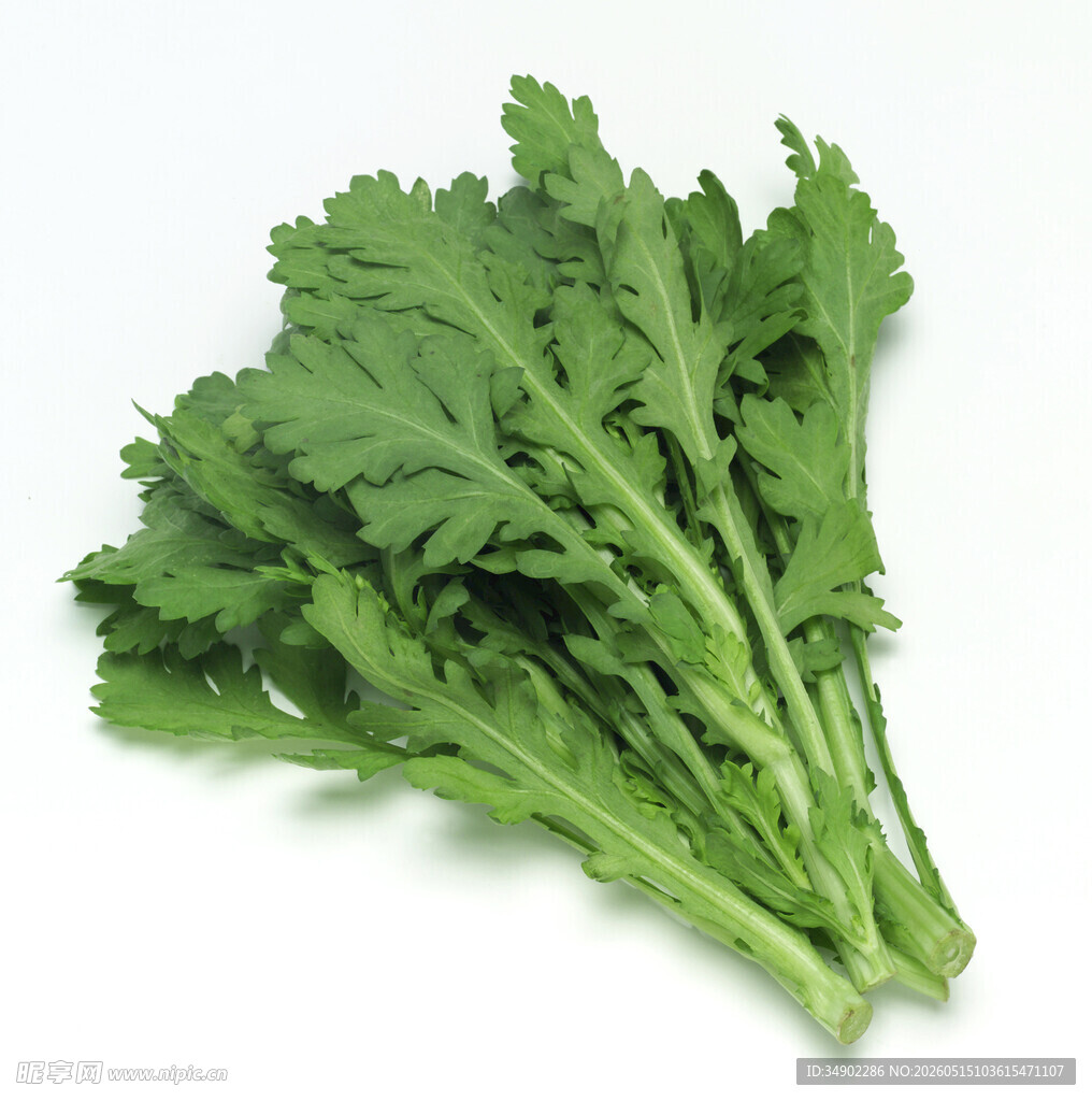 新鲜茼蒿蔬菜