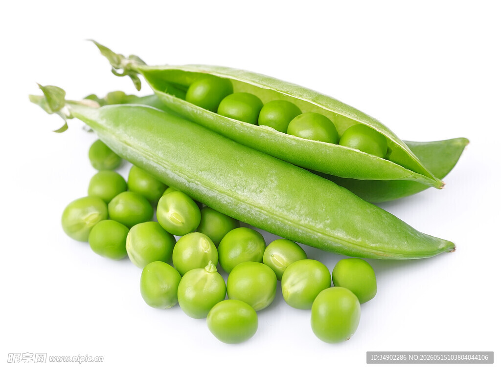 新鲜青豌豆荚与饱满豌豆