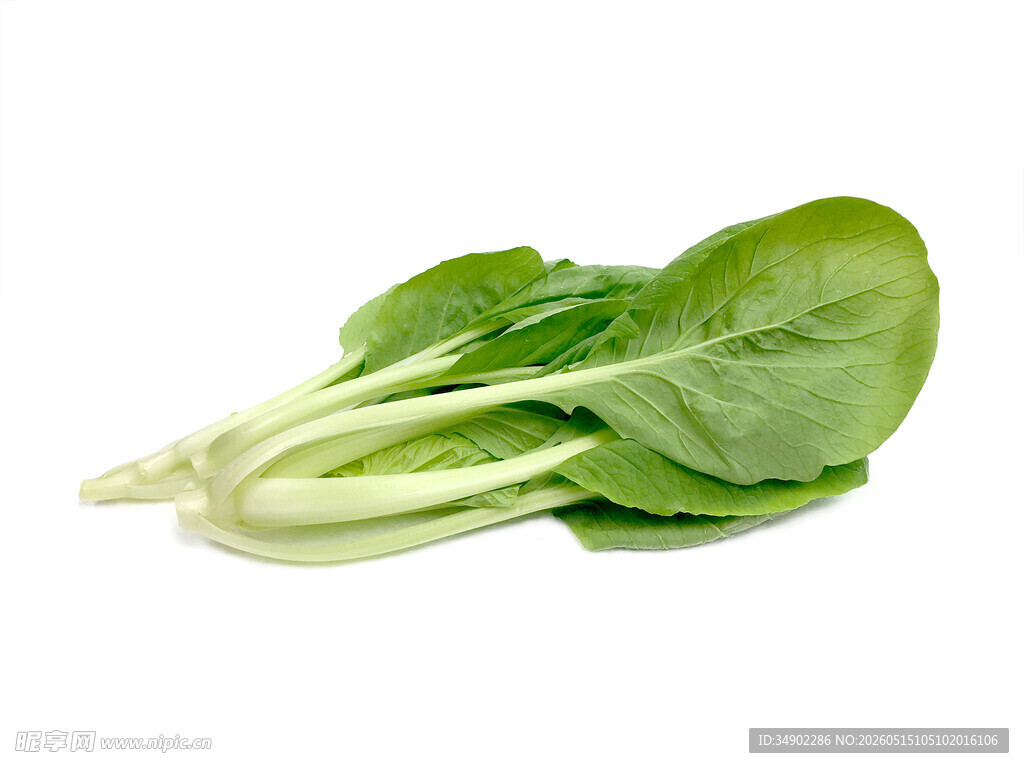 新鲜小白菜