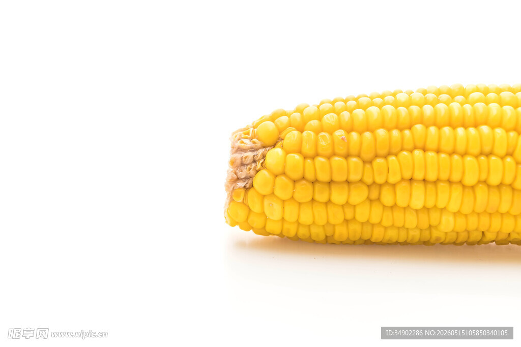 金黄饱满的新鲜玉米棒