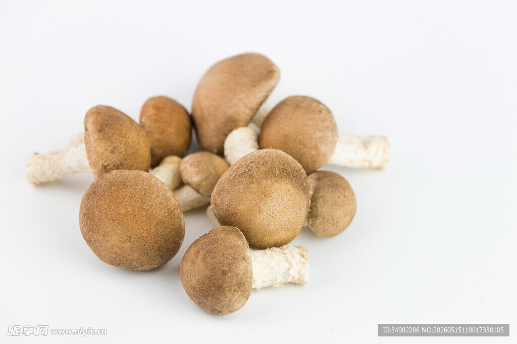 新鲜棕色蘑菇堆叠