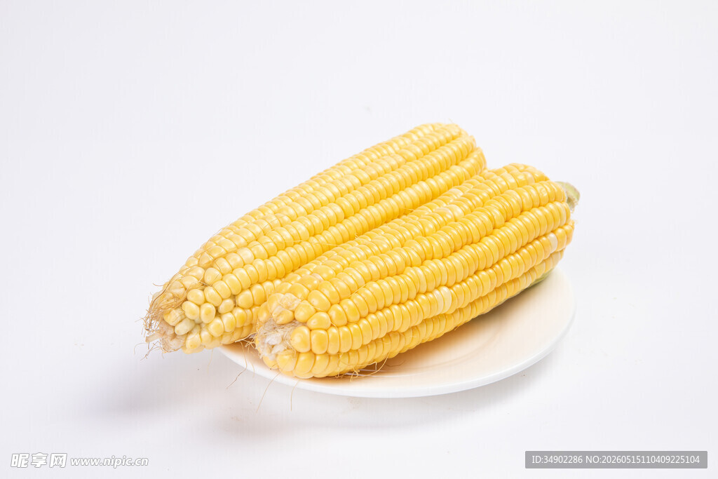 白盘上的两根新鲜玉米