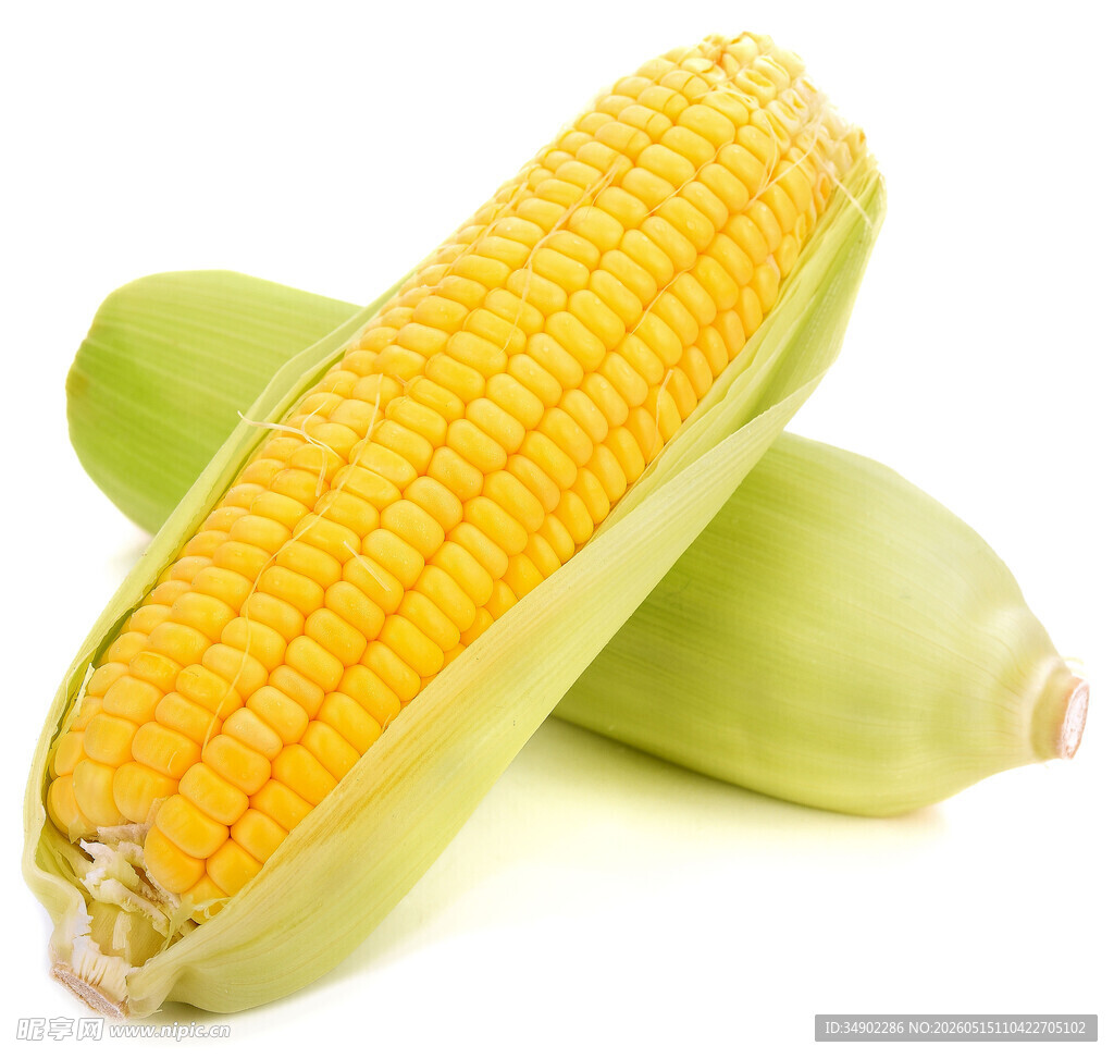 新鲜玉米棒
