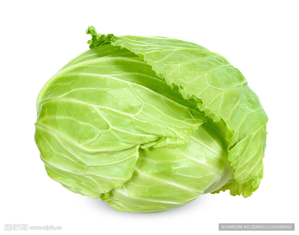 新鲜圆白菜