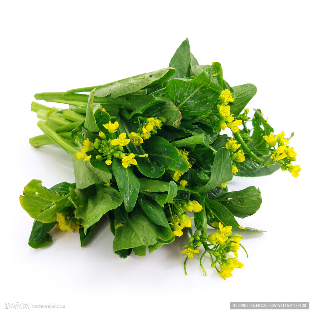 新鲜嫩黄油菜花