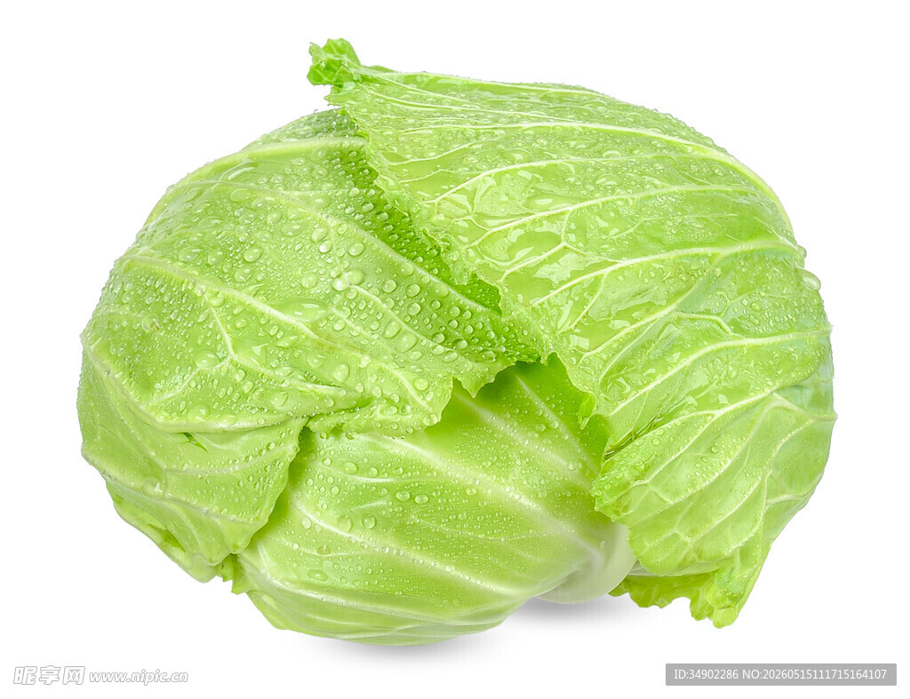 新鲜圆白菜