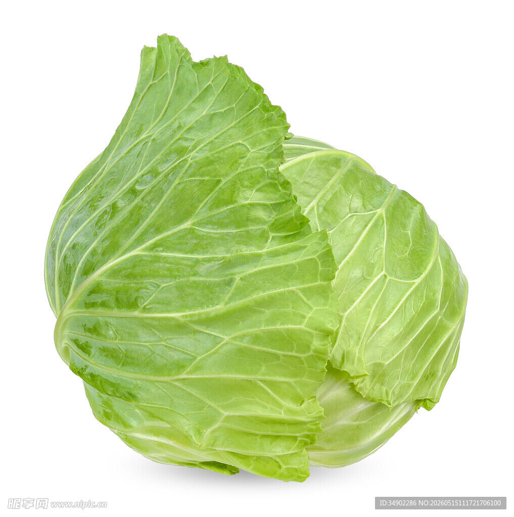 新鲜圆白菜
