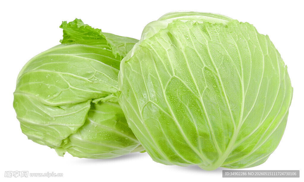 新鲜圆白菜