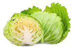 新鲜圆白菜