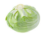 新鲜圆白菜