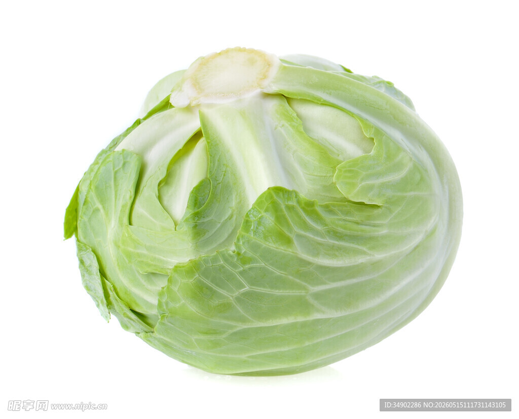 新鲜圆白菜