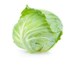 新鲜圆白菜