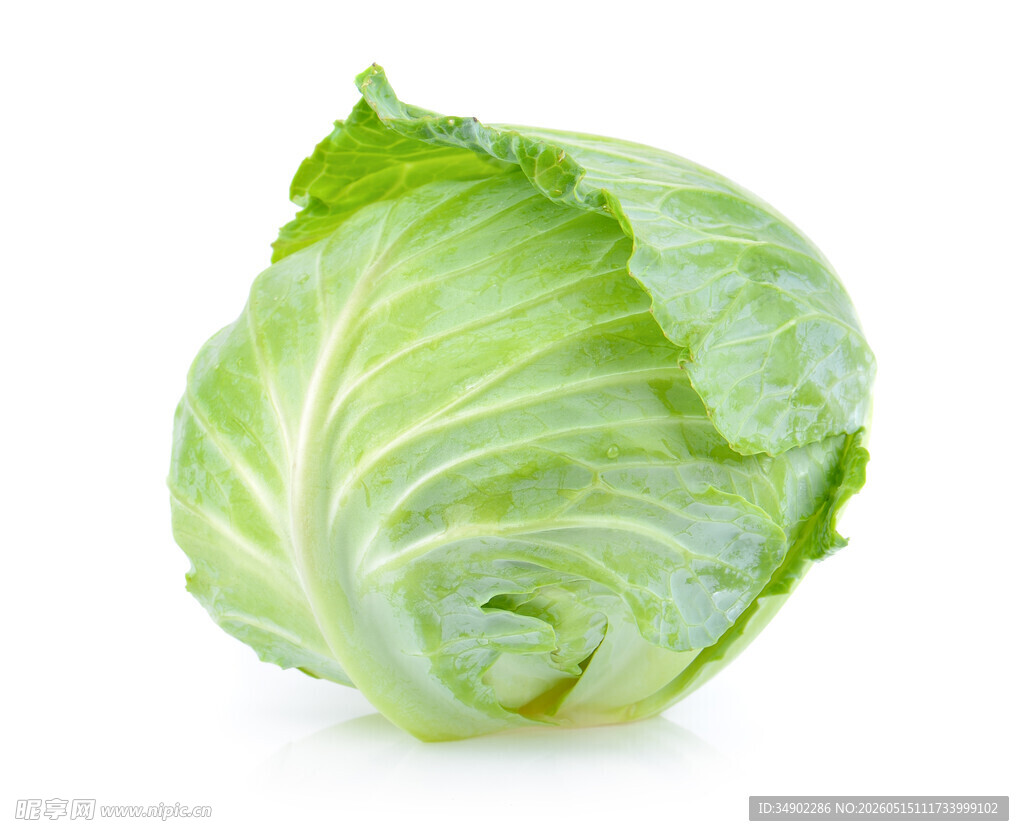 新鲜圆白菜