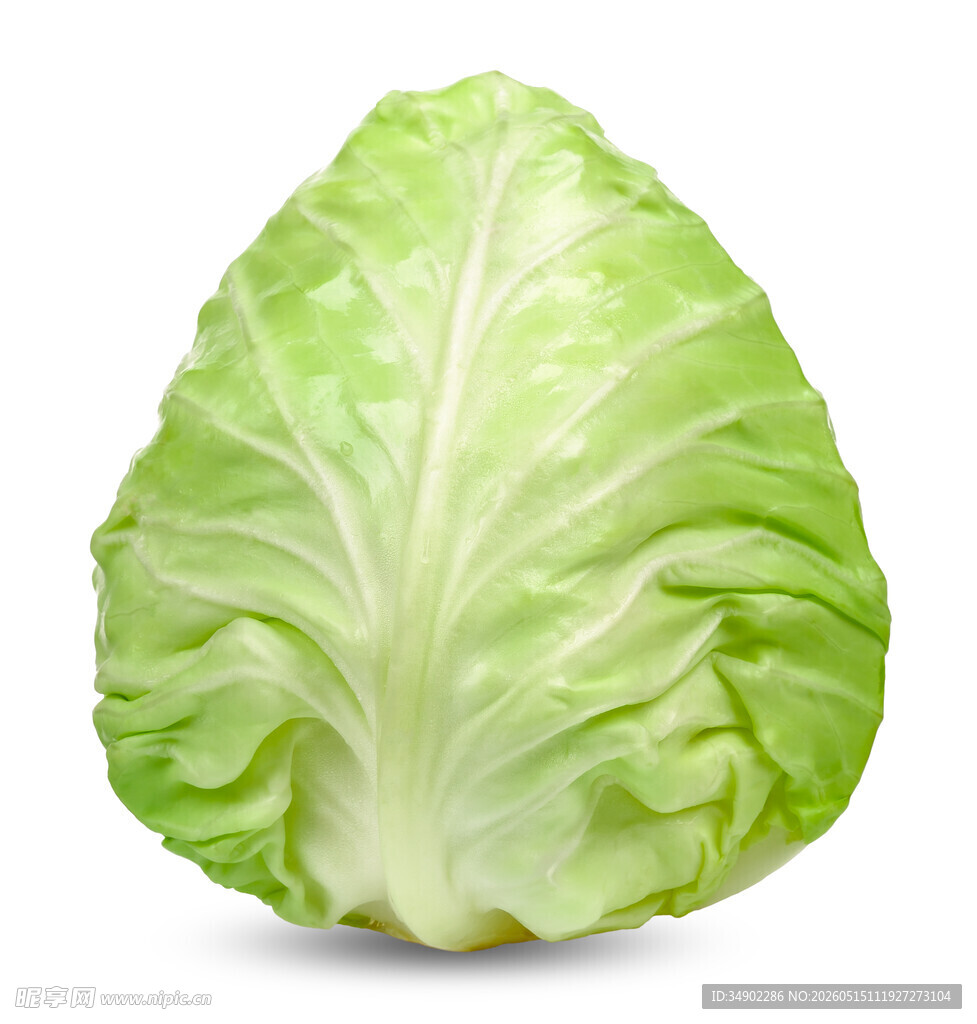 新鲜圆白菜