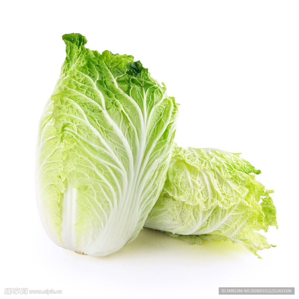 新鲜大白菜