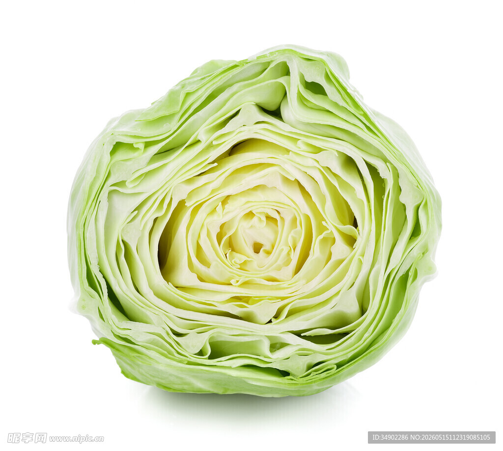 新鲜圆白菜