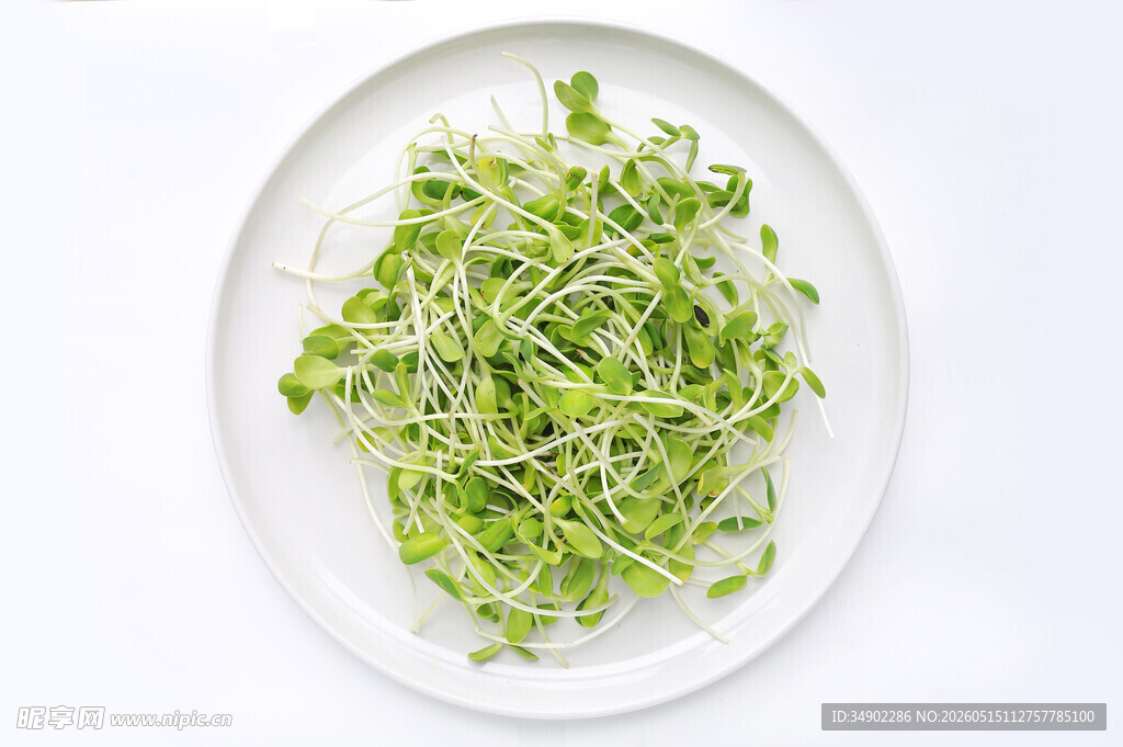 盘中鲜嫩豆芽菜