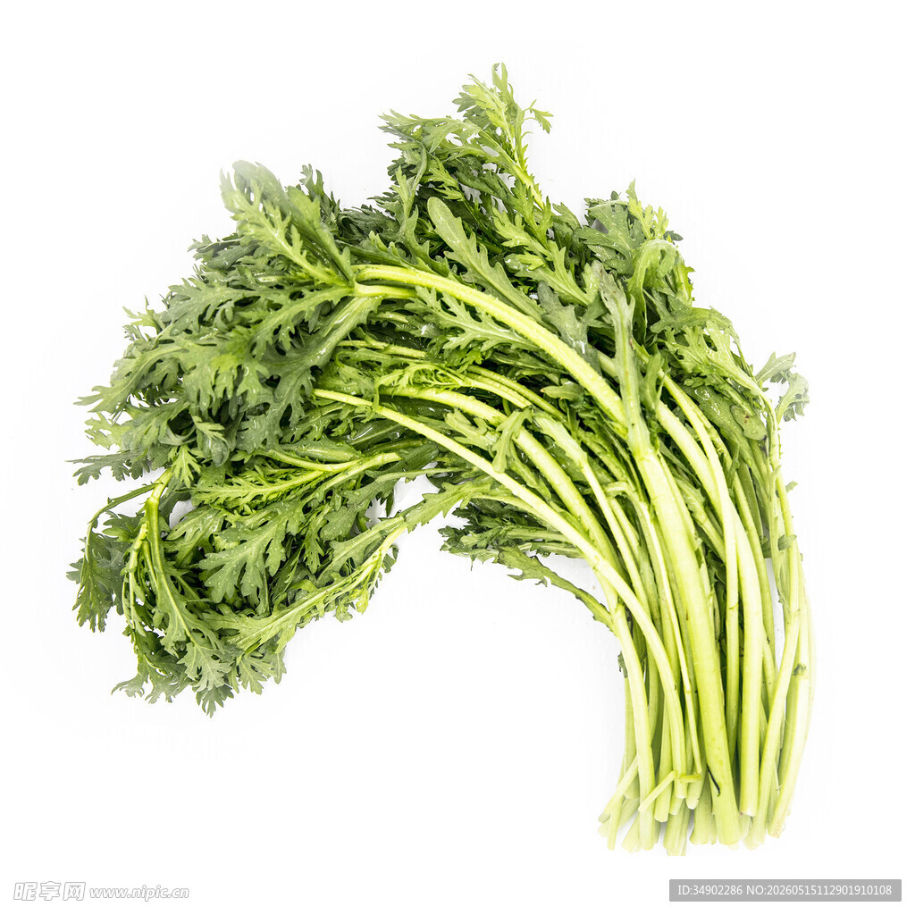新鲜茼蒿菜