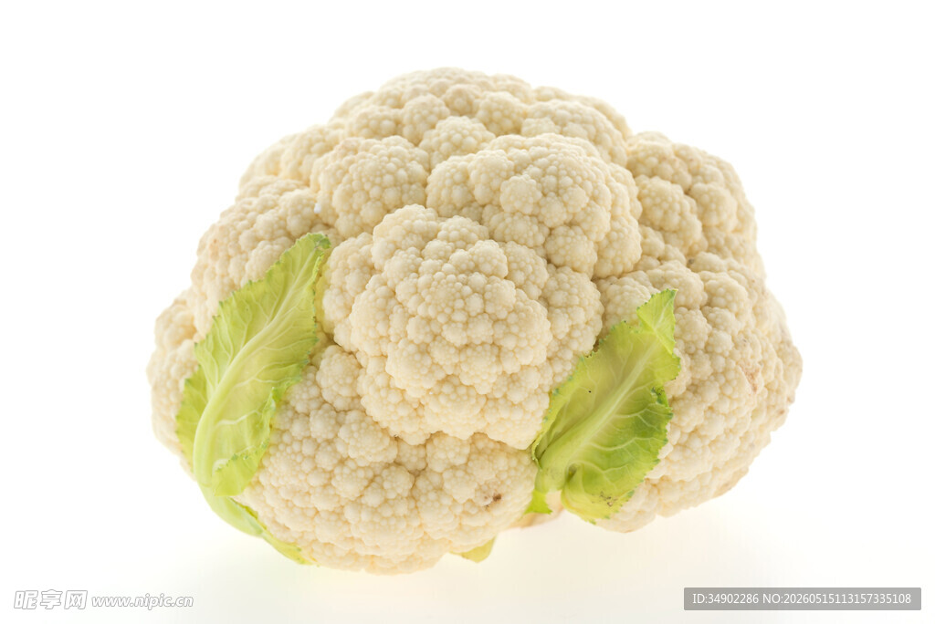 新鲜花菜