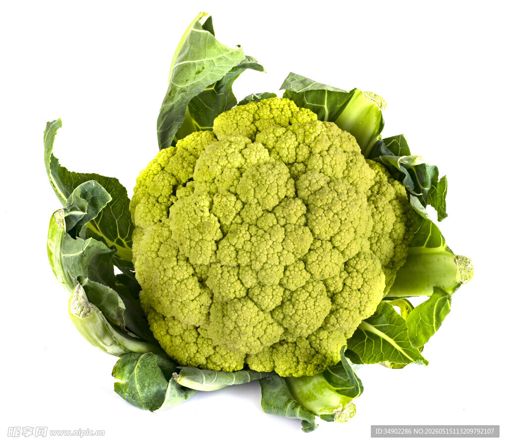 新鲜绿花椰菜