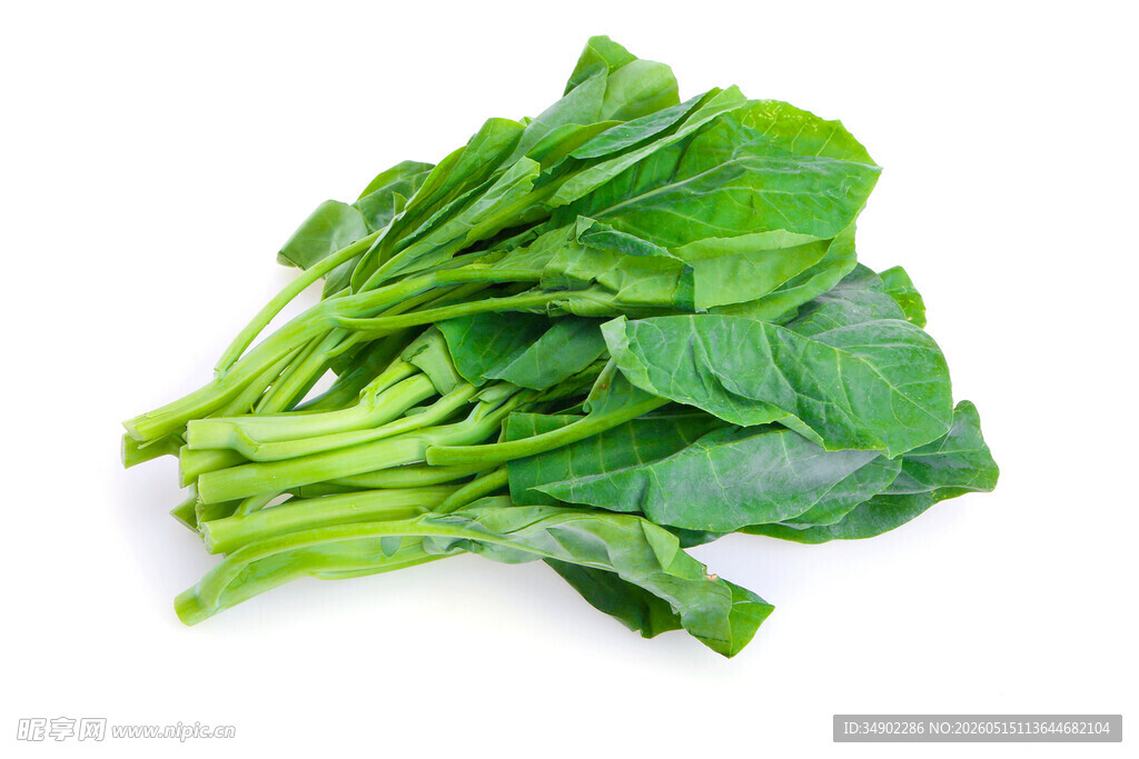 新鲜菠菜