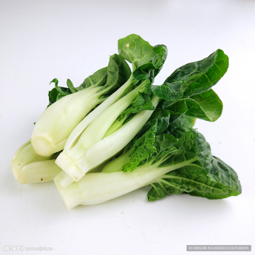 新鲜小白菜摆放在一起