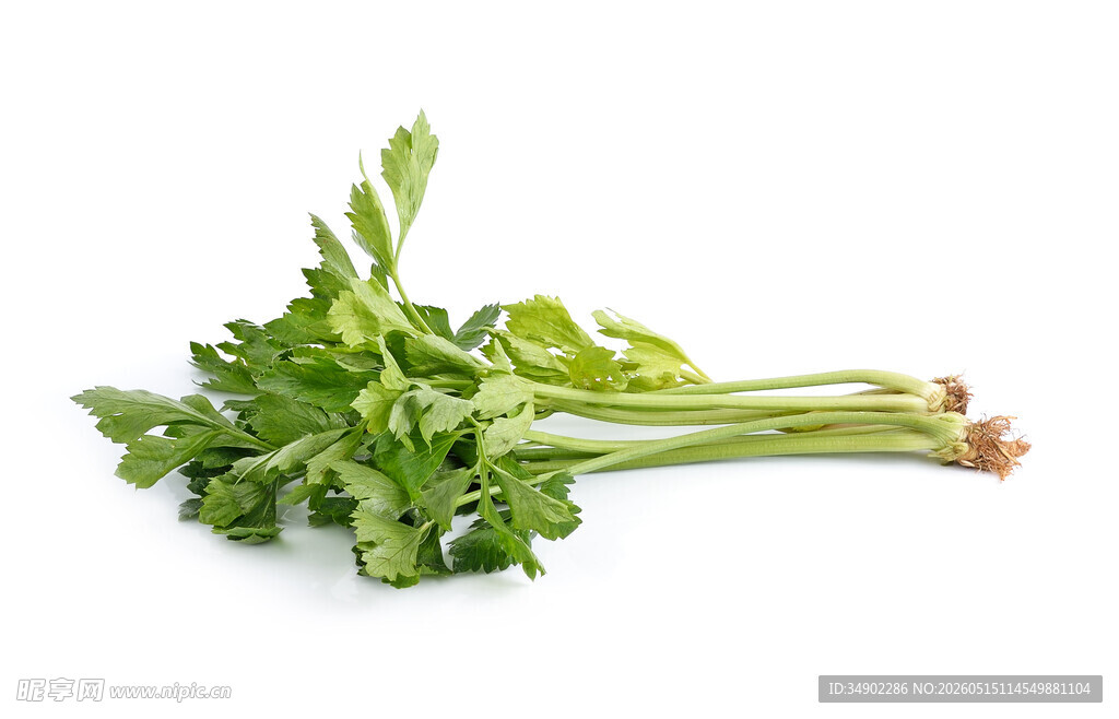 新鲜翠绿芹菜蔬菜