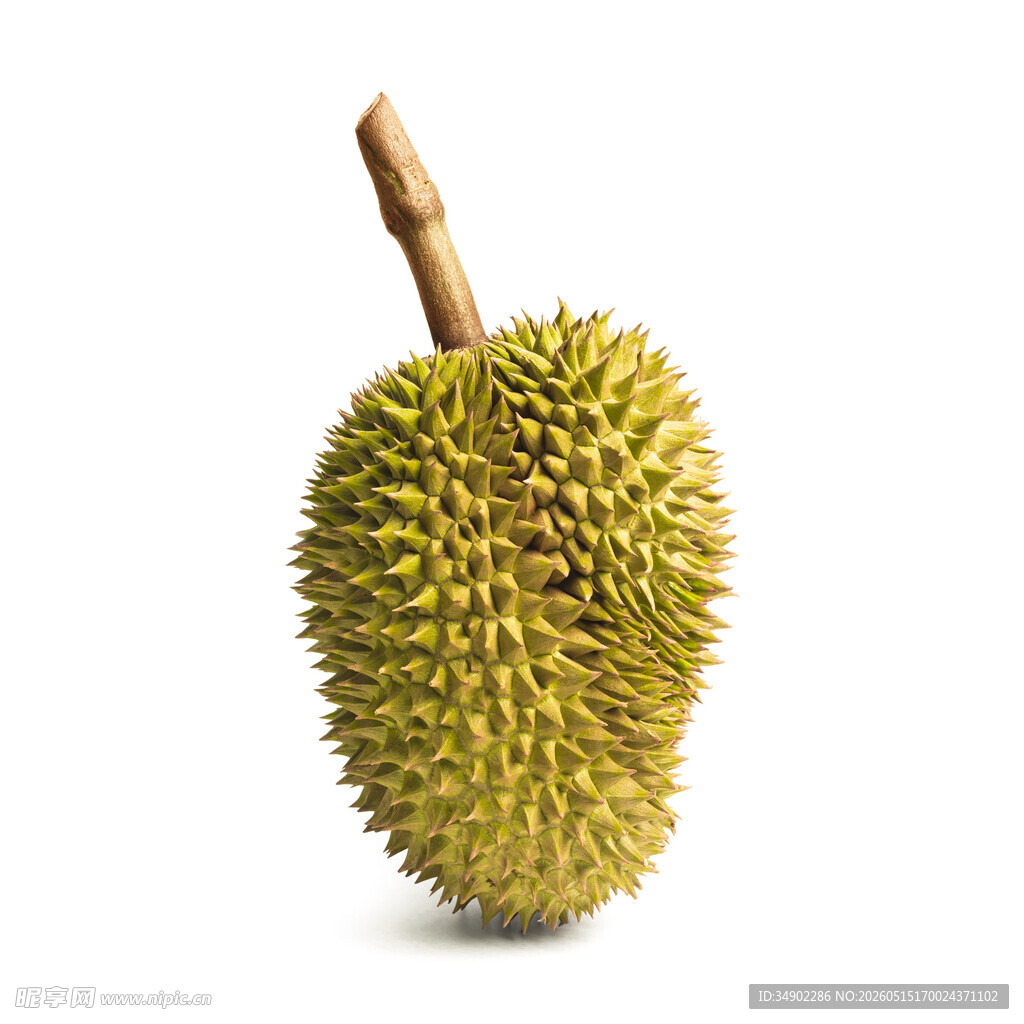单个新鲜榴莲特写