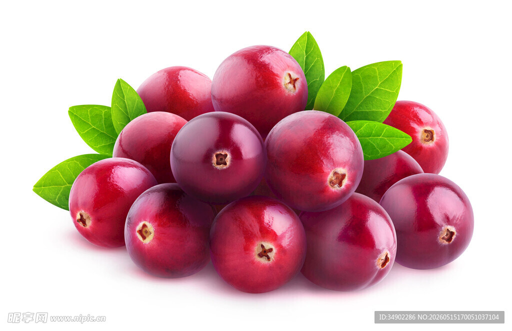 新鲜蔓越莓
