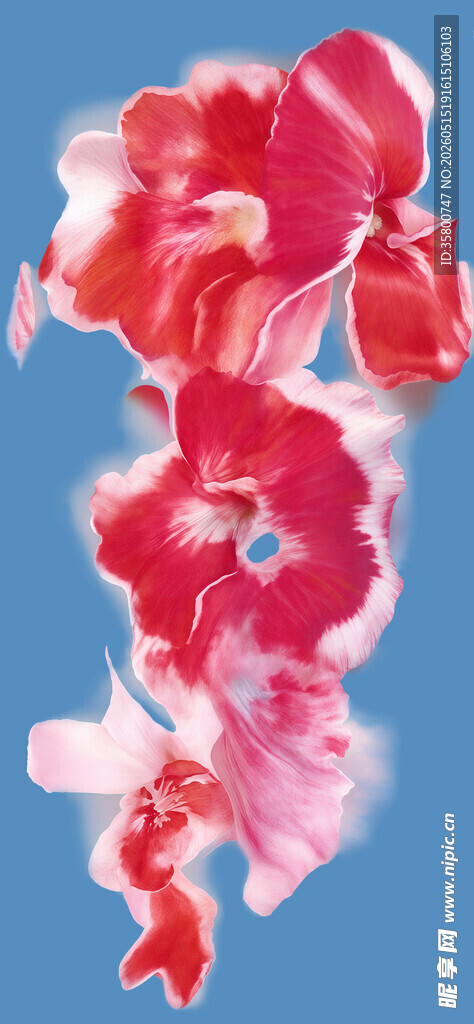 红色花朵艺术图案展示