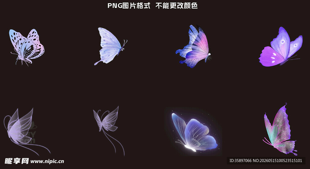 紫色蝴蝶素材