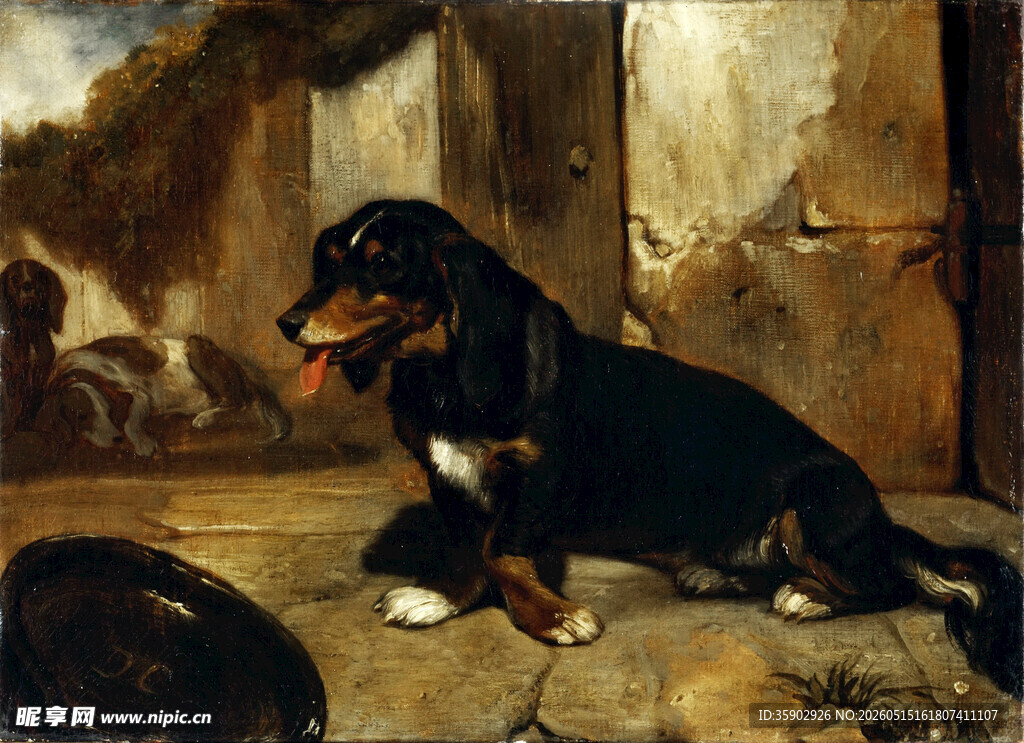卧坐的三色犬