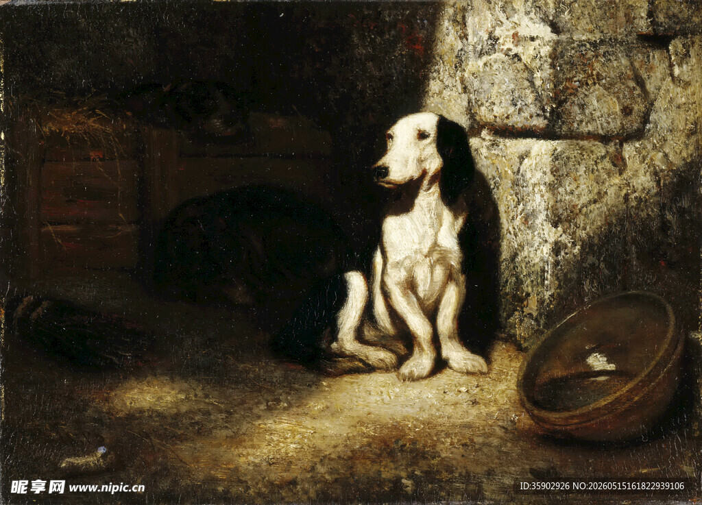 昏暗角落的孤独猎犬